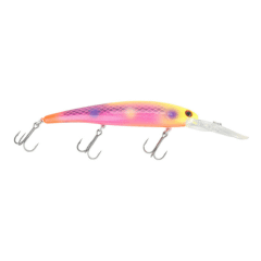 Walleye Bandits