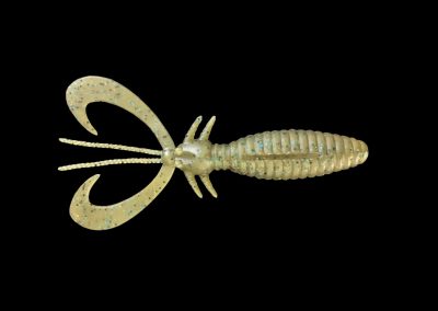 DK Earwig
