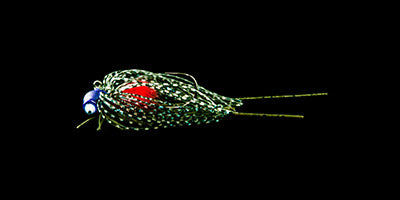 DK Real Cray Jig Evola