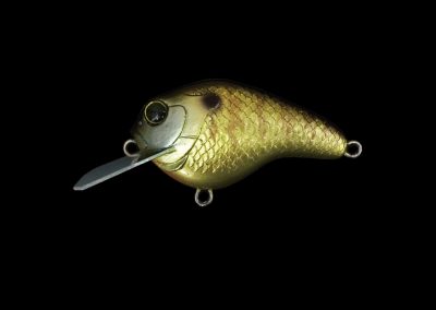 DK Gillbokkuri